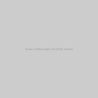 Abbexa - Cluster of Differentiation 28 (CD28) Antibody
